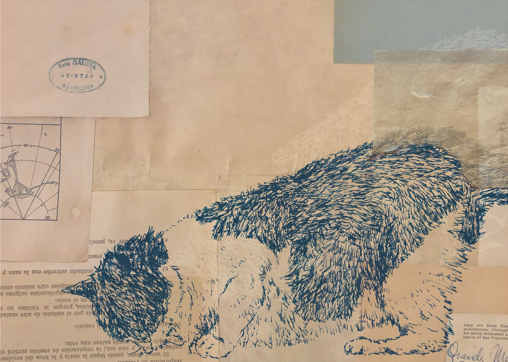 Curious Cat Collage | Canvas