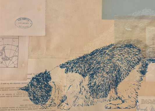 Curious Cat Collage | Canvas