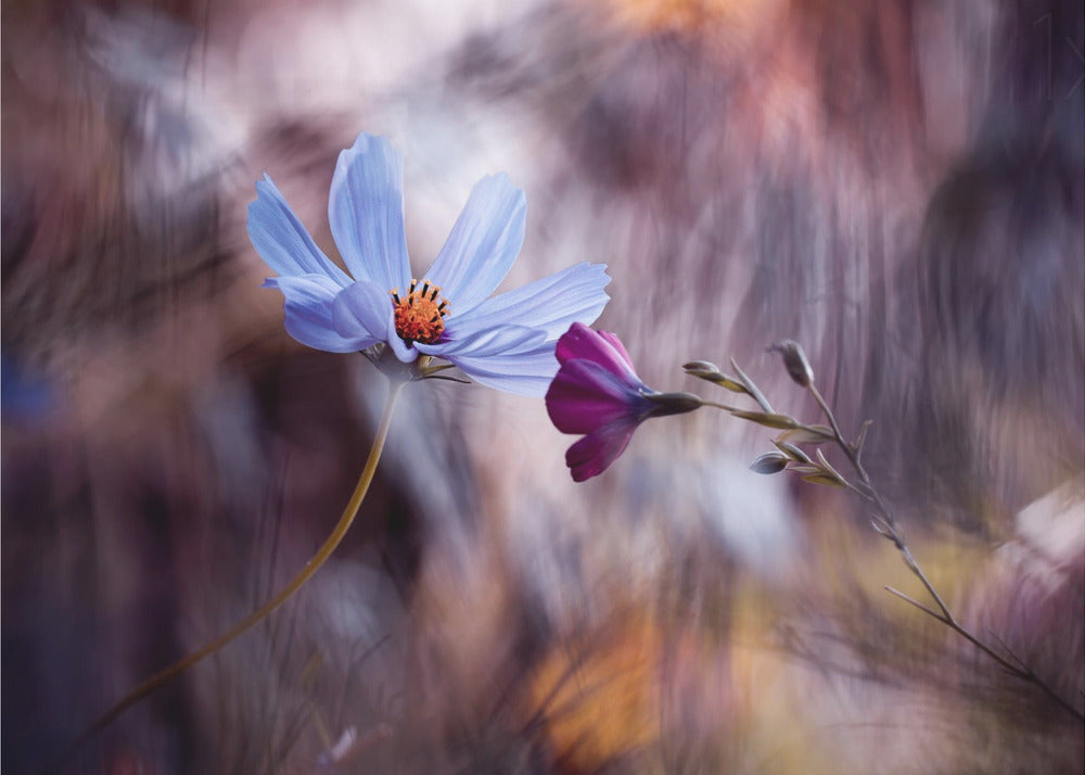 Le rendez vous | Poster