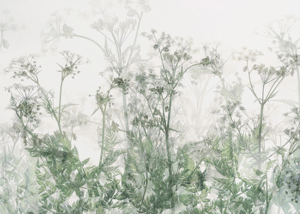 Morning atmosphere | Poster