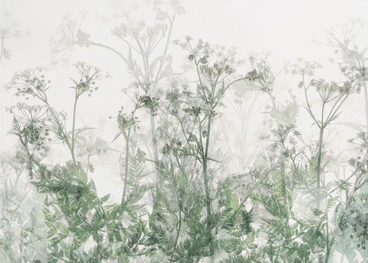 Morning atmosphere | Canvas