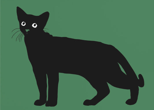Black cat | Poster