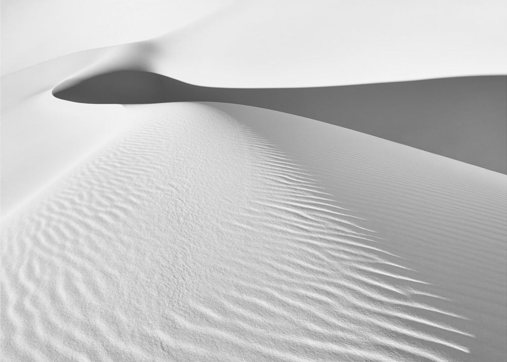 Descending | Canvas