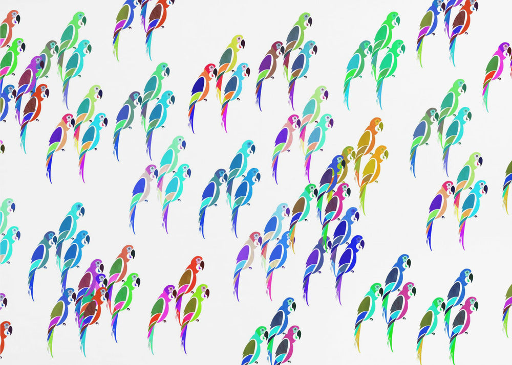 Parakeet Mix | Canvas