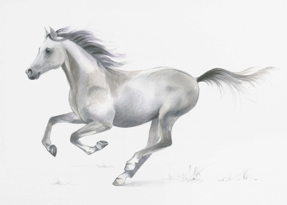 Dynamic Grace of A Galloping Horse | Poster