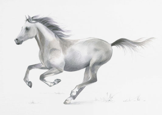 Dynamic Grace of A Galloping Horse | Canvas