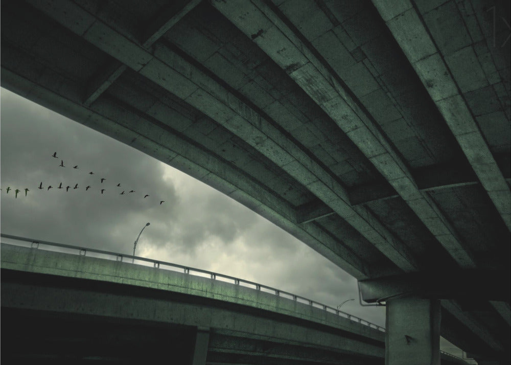 Last Flight | Canvas