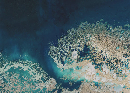 Gold Elegant | Poster