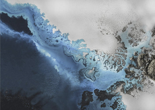 Maritime Majesty | Poster