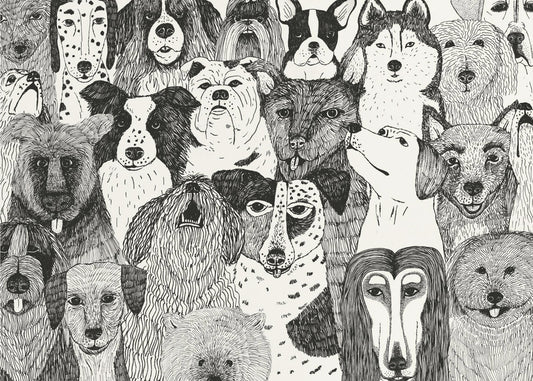 Dogs | Canvas