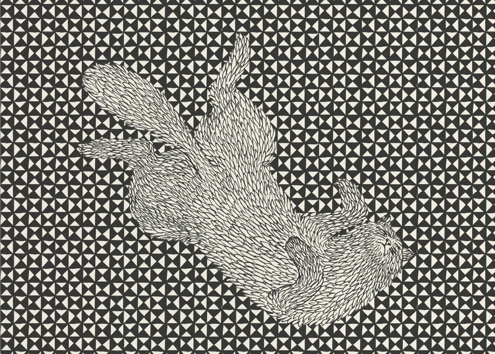 Sleeping Cat VII | Canvas