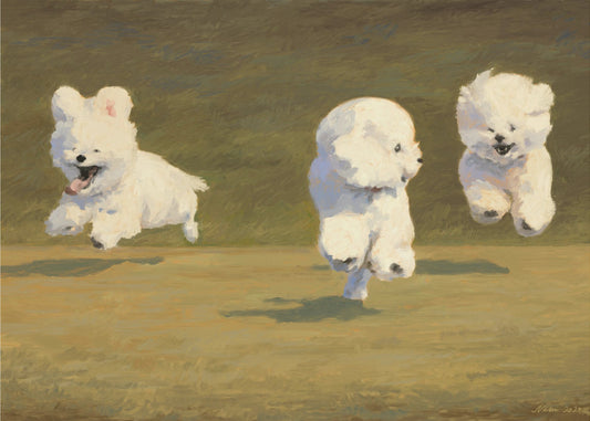 Three Dogs Running | Canvas