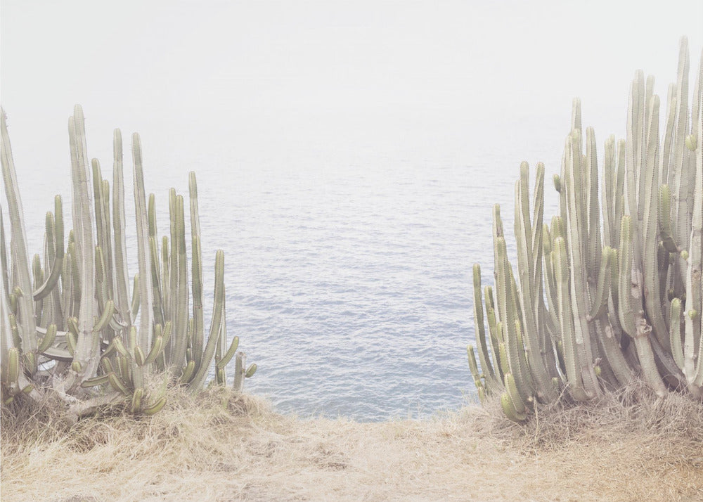 Ocean Cactus | Poster