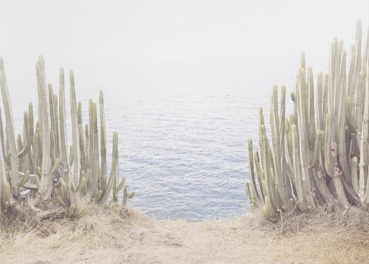 Ocean Cactus | Canvas