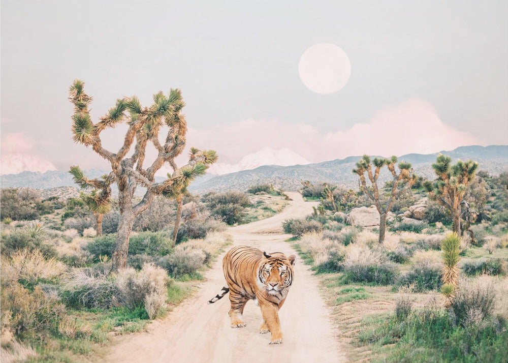 Wandering Tiger | Poster