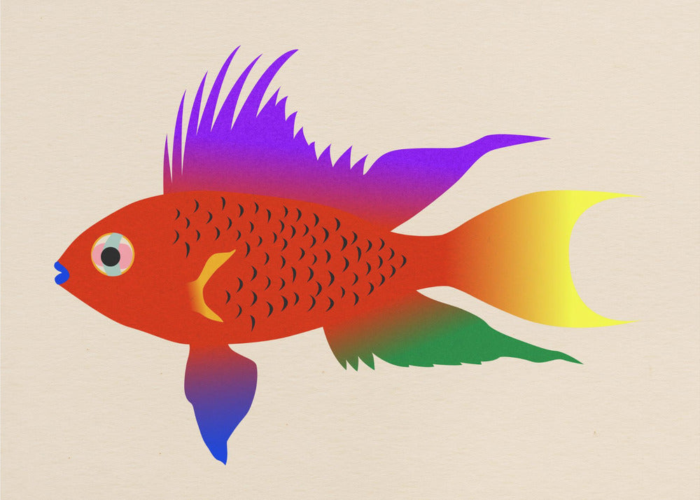 Buntbarsch Hell | Poster