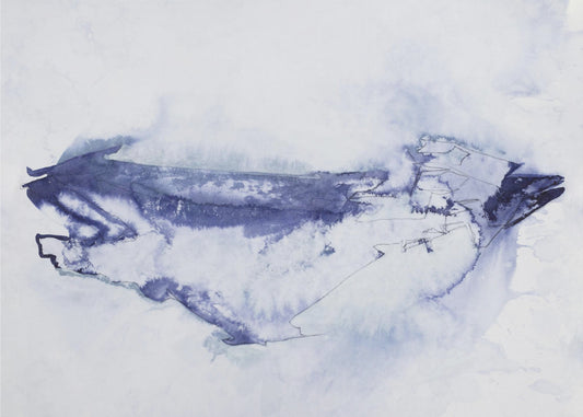 Unconfirmed Target No. 1 | Canvas