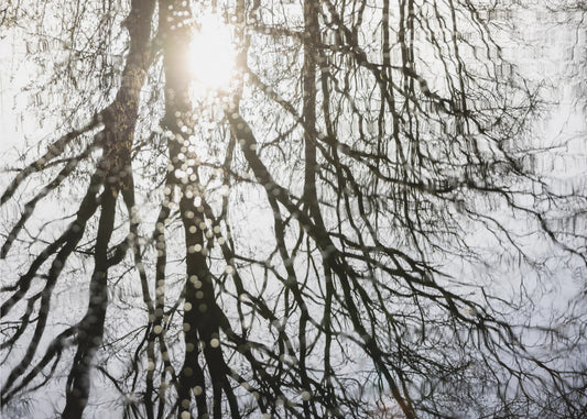 Winter Reflections 3 | Poster