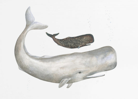 Gentle Ocean Giants | Canvas