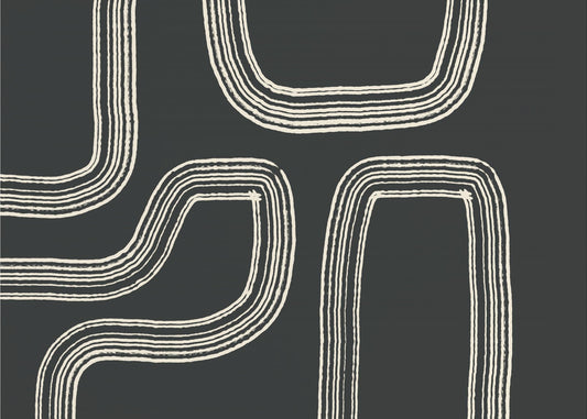 Curved Pathways | Canvas