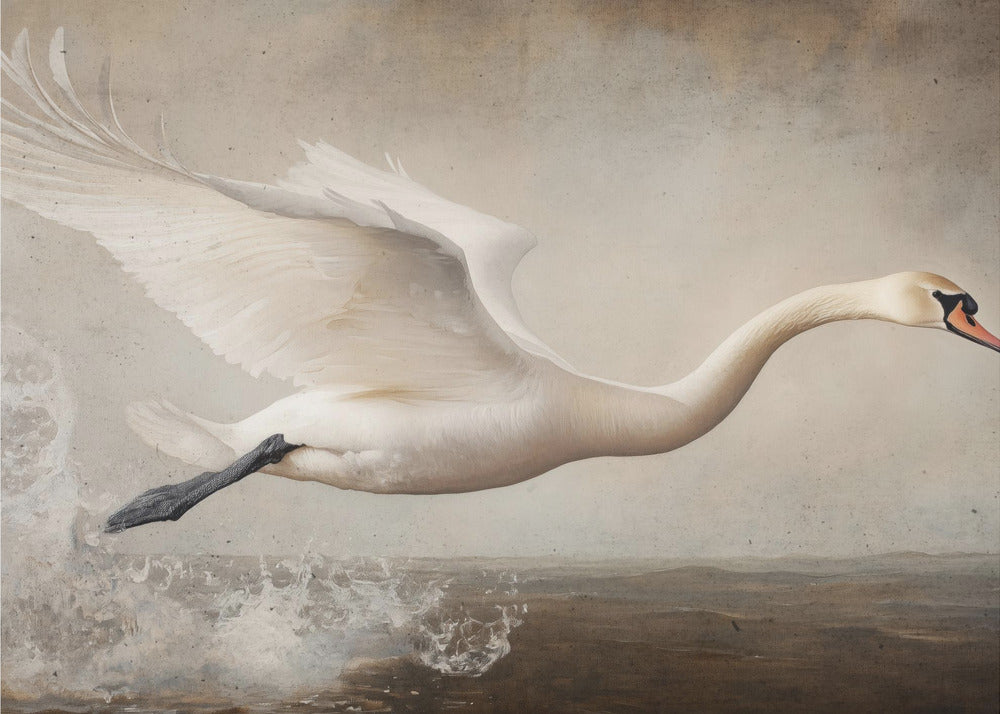 Graceful Flight | Canvas