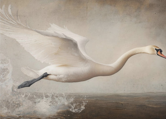 Graceful Flight | Canvas