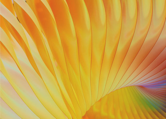 Golden Spirals | Canvas