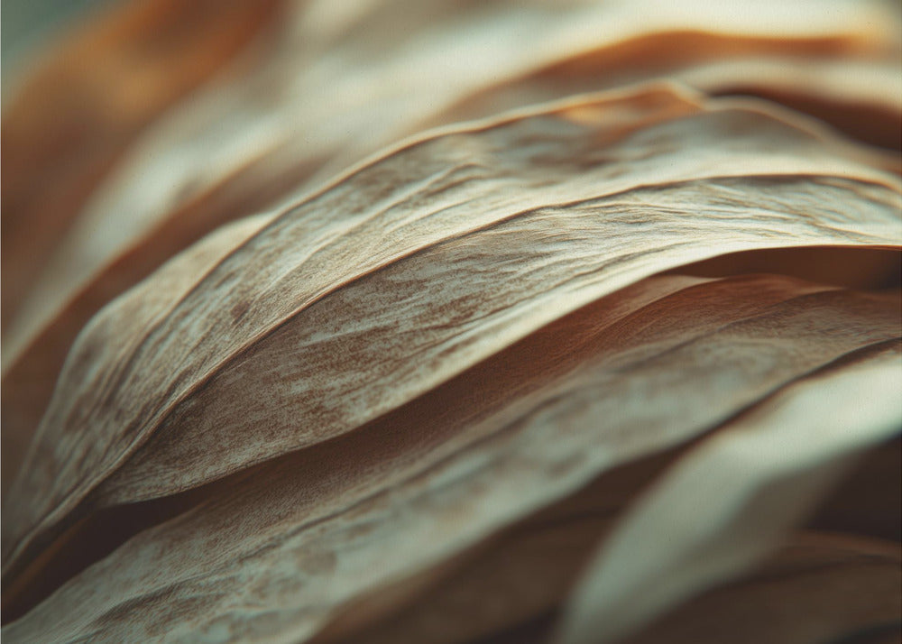 Rippling Petals | Wallpaper