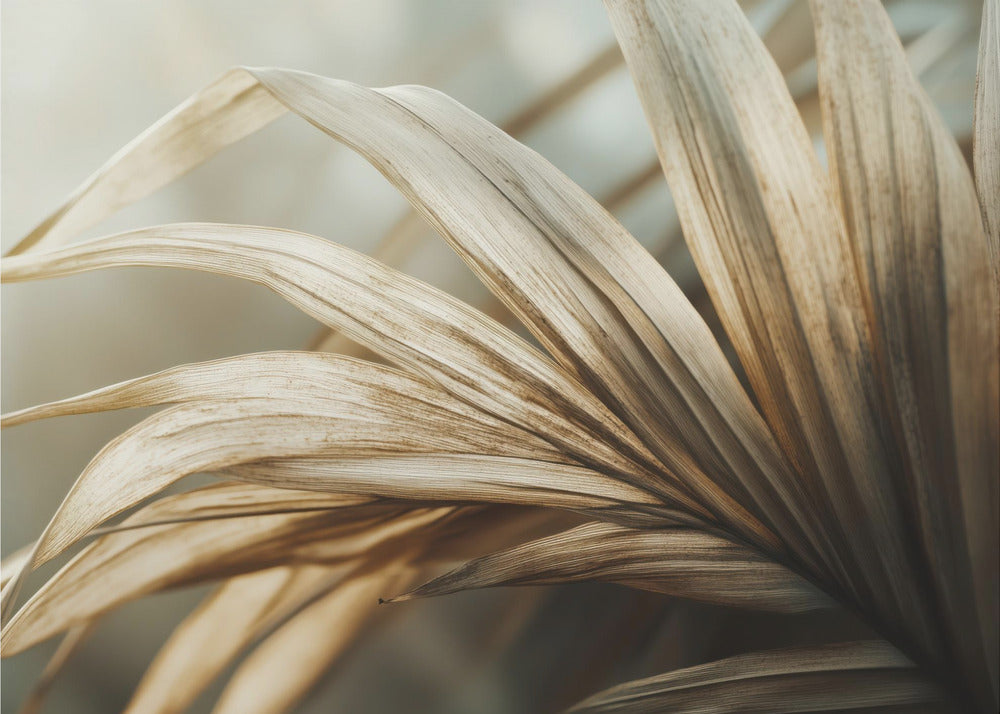 Whispering Leaves | Poster