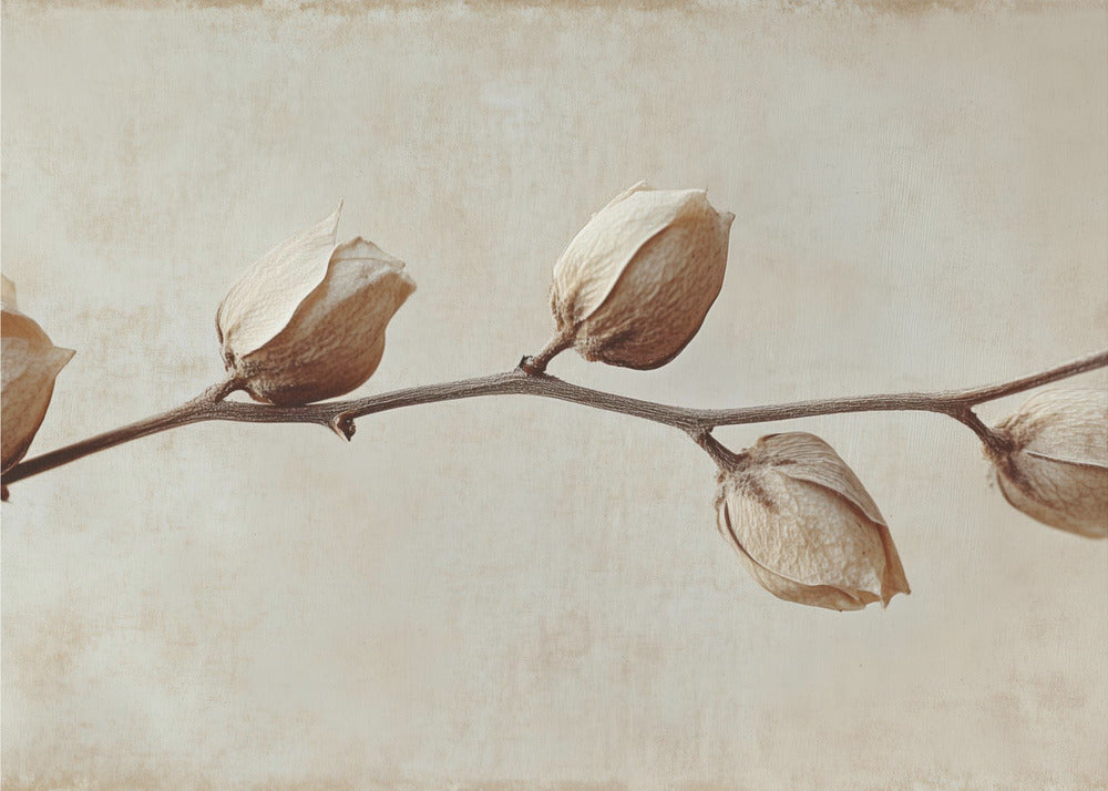 Faded Elegance | Poster