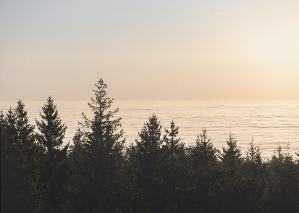 Golden Hour 2 | Poster