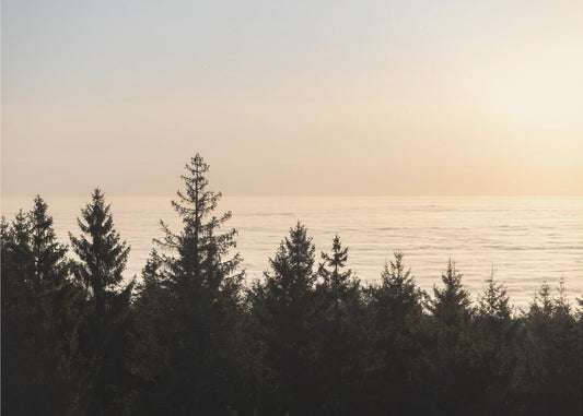 Golden Hour 2 | Canvas