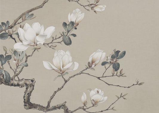 Chinoiserie Magnolia Blooms | Canvas