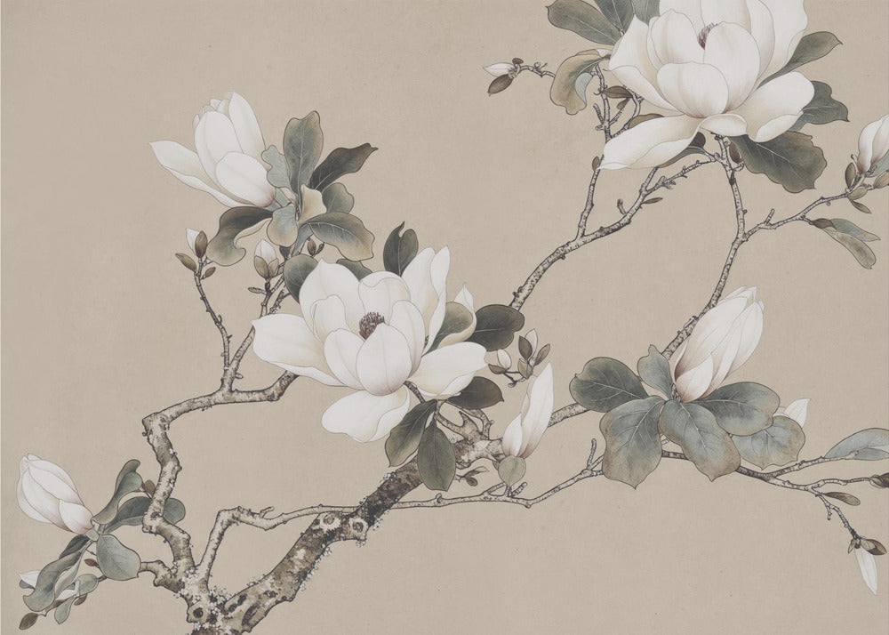 Chinoiserie Magnolia 005 | Canvas