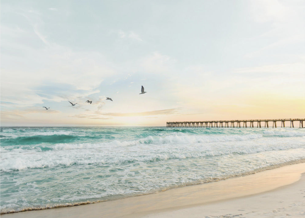 Birds At Pier | Poster