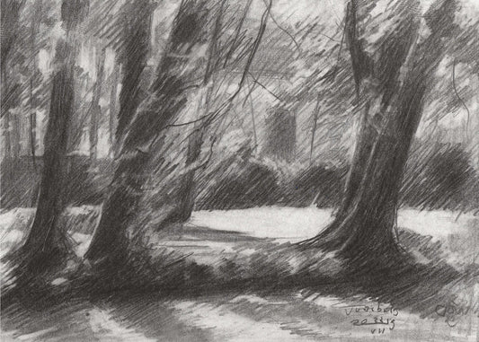 Voorburg - 22-07-19 | Canvas