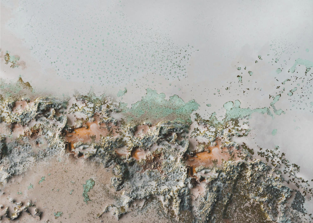 Earthly Fragments - Coastal relief art | Canvas