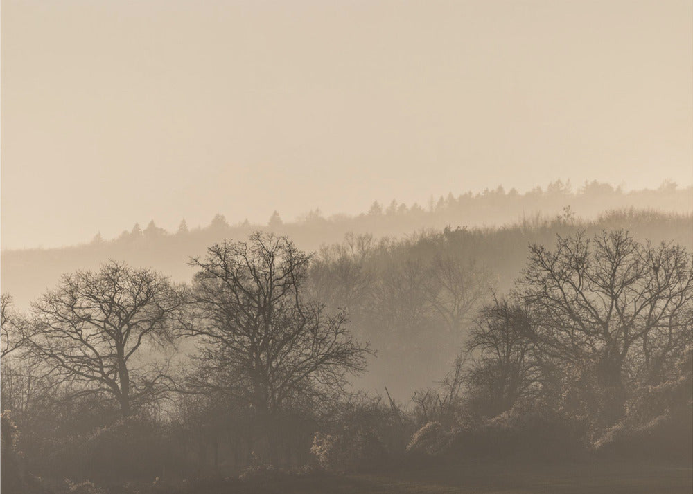 Fading Horizons 7 | Canvas