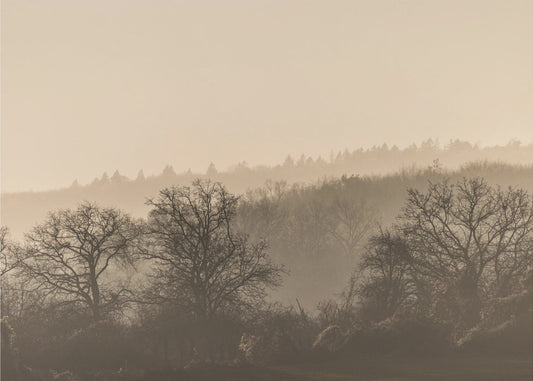 Fading Horizons 7 | Canvas