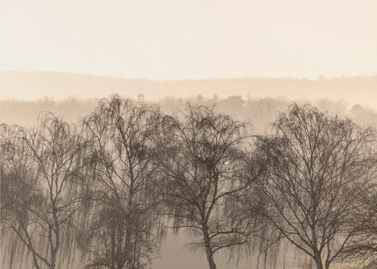 Fading Horizons 1 | Poster