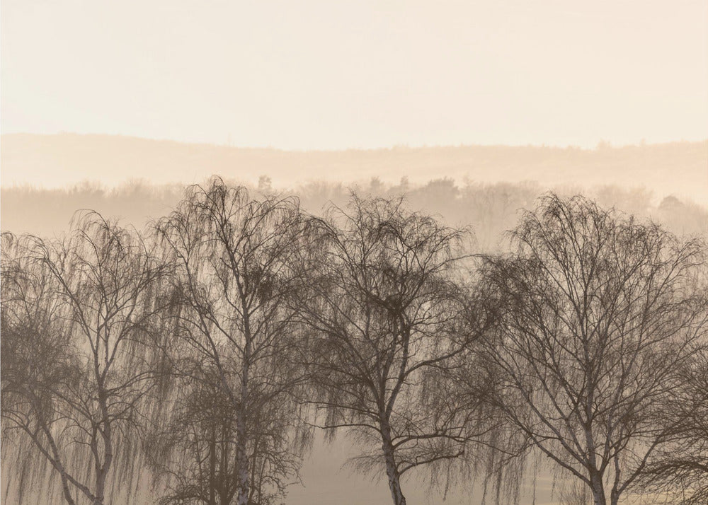 Fading Horizons 1 | Canvas