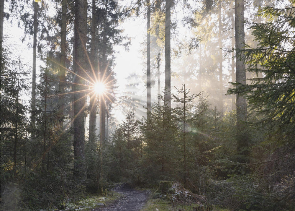 Hopeful Moments 2 | Canvas