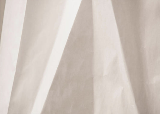 Paper Studies 35 | Canvas