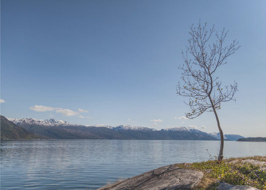 Somewhere In Norway 3 | Poster