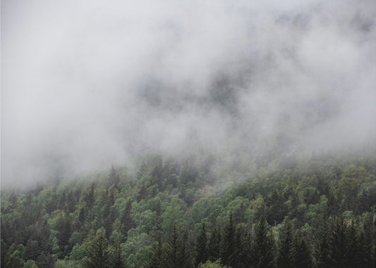 Somewhere In Norway 5 | Poster