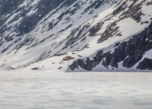 Somewhere In Norway 8 | Canvas