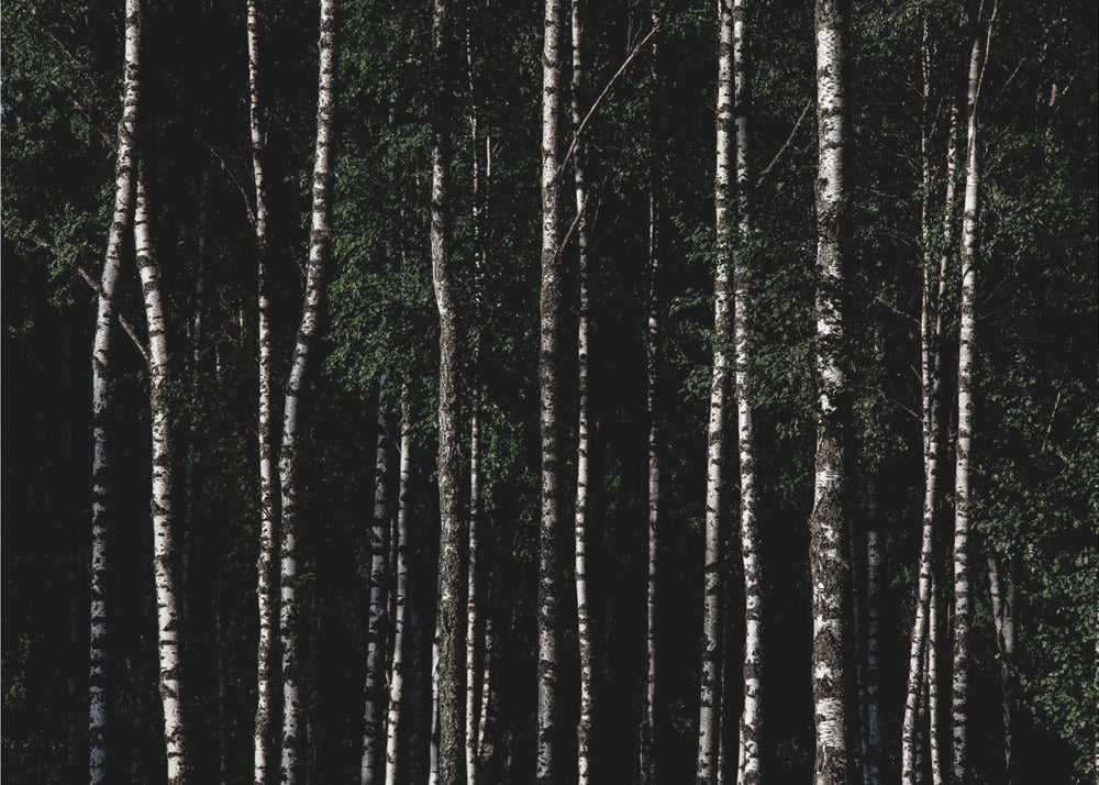 Somewhere In Sweden 4 | Poster