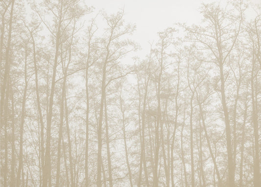 Tree Silhouettes 1 | Poster