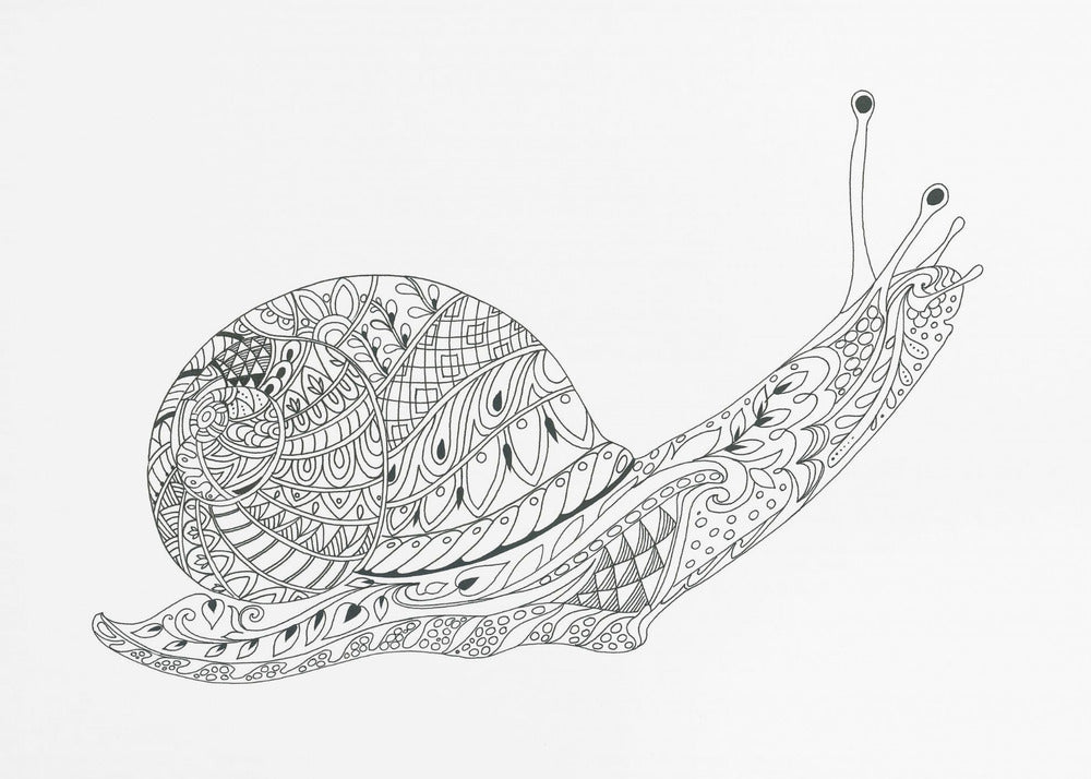 Whimsical Snail Maze | Canvas