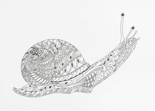 Whimsical Snail Maze | Canvas